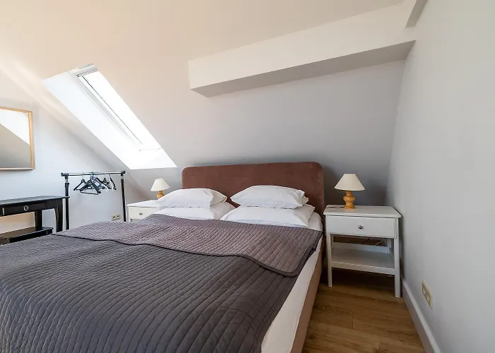 Goscinne Columbus Проживание в семье