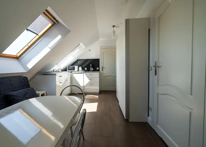 Проживание в семье Goscinne Columbus