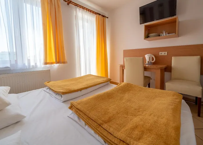 Goscinne Columbus Проживание в семье Карвиа